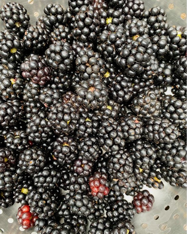 Cynthia Barcomi tweet media