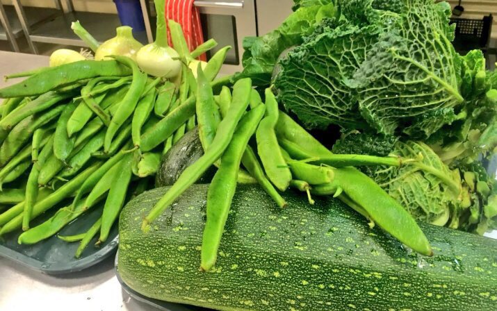ForwardAssist1's tweet photo. Sow It...Grow It...Eat It! Losing Weight Starts In The Kitchen & Never Underestimate The Importance Of Eating Healthy Nutritious Home Grown Vegetables. Learn How To Cook With The Forward Assist Veterans #Cook2Give Salute Cafe Team! @dollytheis https://t.co/Qr5rlBy8qS