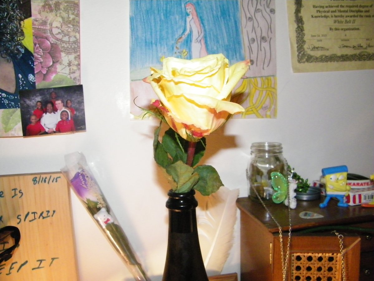 I think I liked this rose. Roses are my favorite type of flower.