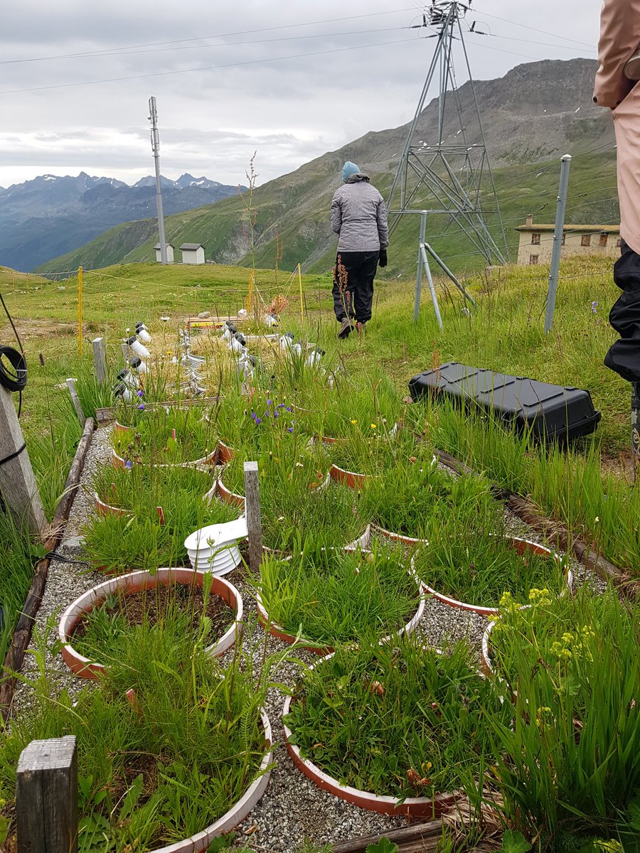 KatalNegin's tweet image. After passing a mudslide successfully, we finished our last field sampling in #Furkapass. I will miss this beautiful study site. #susalps