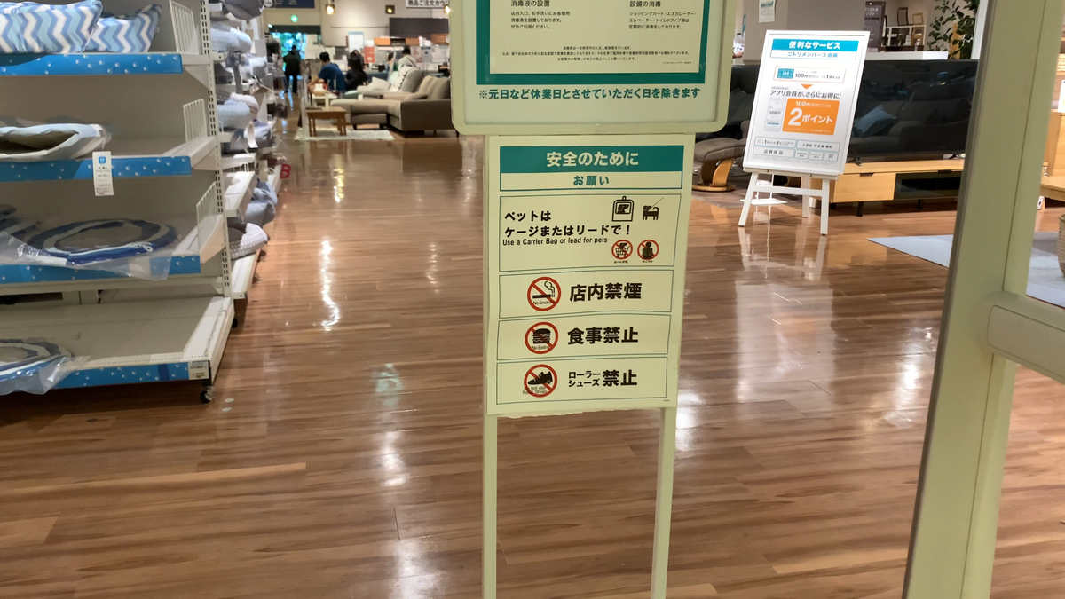 猫のネル ペットとお買い物ができるニトリ 待機中のネル様と犬オペル お台場 Venusfort ヴィーナスフォート ニトリ