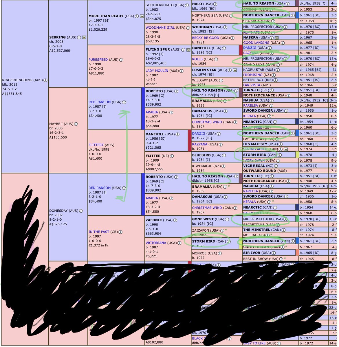 TrevDonaldson's tweet photo. If you have a #Domesday mare and are undecided on your stallion selection, strongly consider #Ringerdingding - provides a sex balanced #RedRansom in gen 3, plus duplication of many significant stallions @WyndholmP  Victoria https://t.co/2CggRL852m