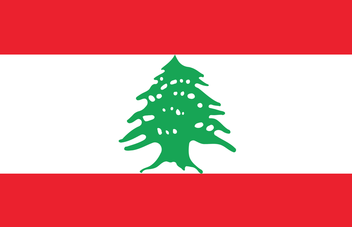 Pensée et soutien pour les habitants de la ville de Beyrouth 🇱🇧❤️ #Liban #Beyrouth