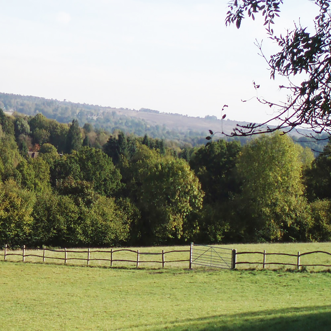 🌟 August Availability 🌟
Have you ever wanted to stay in a #GrandDesigns style house? Well now is your chance! The Beacon is a modern one-bedroom house set on the edge of the #Sussex High Weald with beautiful rural views. 
Escape from £535 for a 7nt stay

amberleyhousecottages.co.uk/Sussex/Holiday…