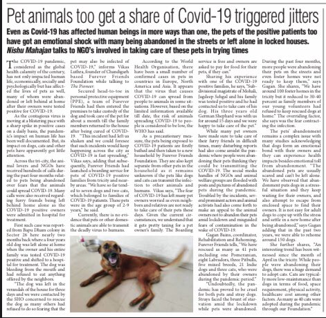 FureverVikas's tweet photo. Please give this a read! Sunday Pioneer, Chandigarh Edition #Rescue #rescuedog #rescuedogsofinstagram #animalslove   #anonymousforthevoiceless #endspeciesim #respect #endmeattrade #showlove #showcare #animalliberation #respectall #nomistreatment https://t.co/csOZfeMN18