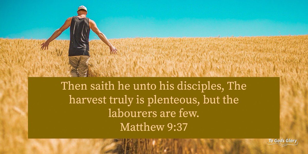 Then saith he unto his disciples, The harvest truly is plenteous, but the labourers are few. Matthew 9:37 #BibleQuotes #dailybibleverse #bibleverses #christianfaith #scripture #gospel #FaithQuotes