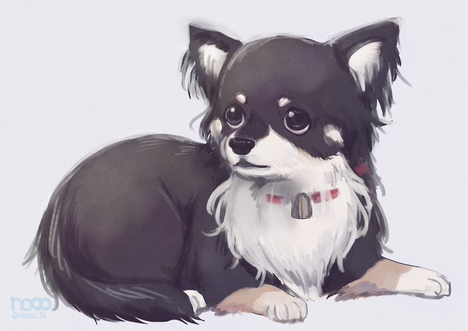 ちくわ 高画質 のtwitterイラスト検索結果 古い順