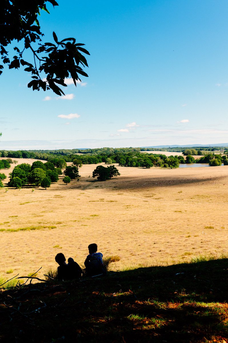 Fantastic walk with the kids at <a href="/PetworthNT/">Petworth House & Park</a> this morning. It took 45 minutes to convince the boys to leave the house but worth it 😂😍