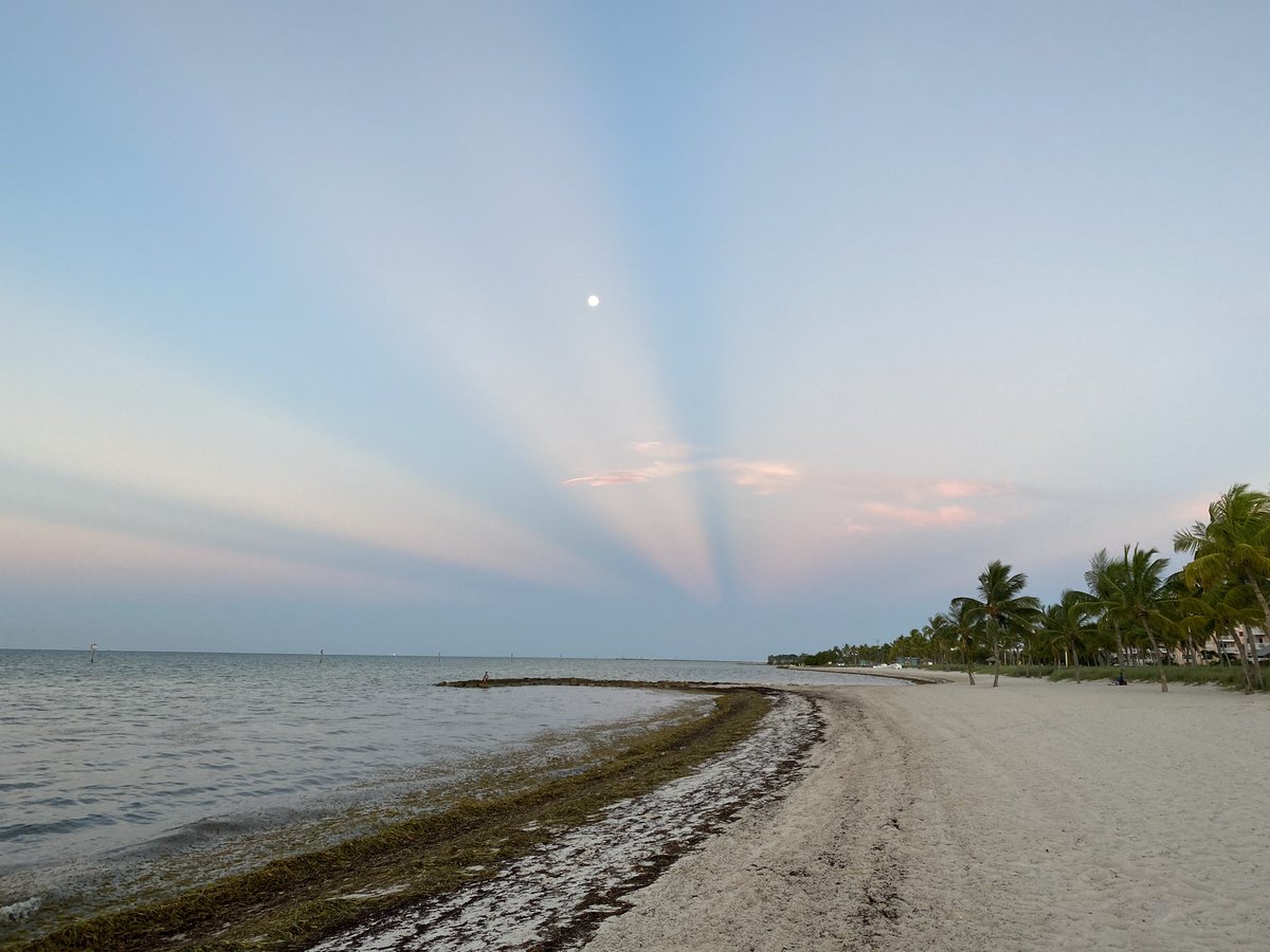 krisfaulkner's tweet photo. @NWSKeyWest Beautiful sunrise https://t.co/94SILWM9QY
