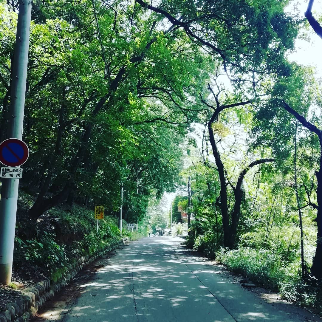 りっぷる洋品店