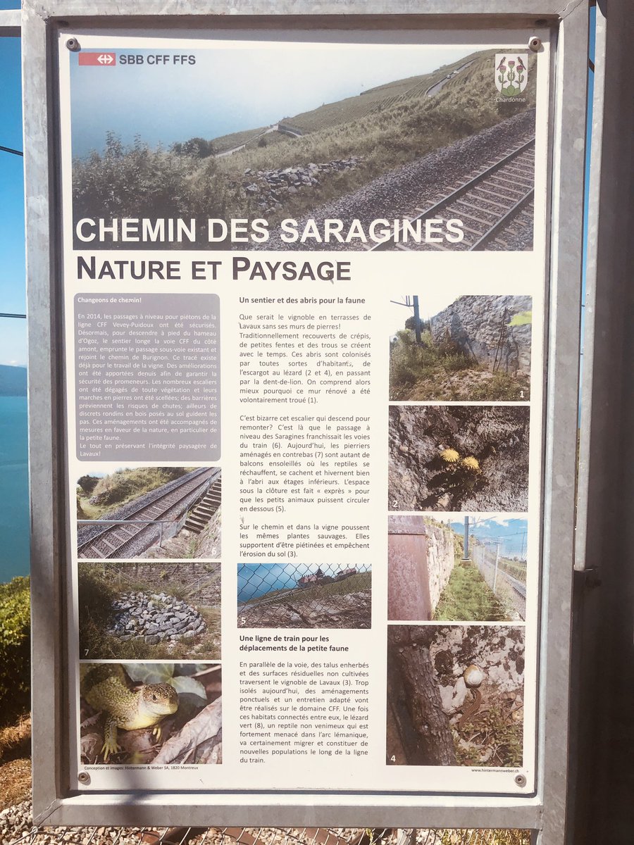 sibtrenck's tweet image. #RivieraVaudoise #WirBrauchenSchweiz