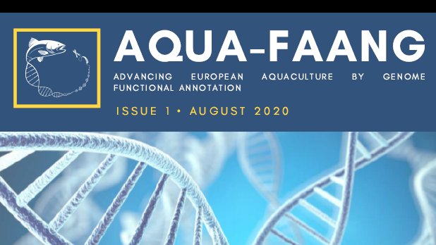AQUA_FAANG's tweet photo. The first AQUA-FAANG newsletter is now available on our website! Have you already subscribed to the AQUA-FAANG's mailing list? https://t.co/NKWbqEHoTl #aquaculture #aquabreeding #sustainableaquaculturebreeding #H2020 https://t.co/Rk9lT0HI0u