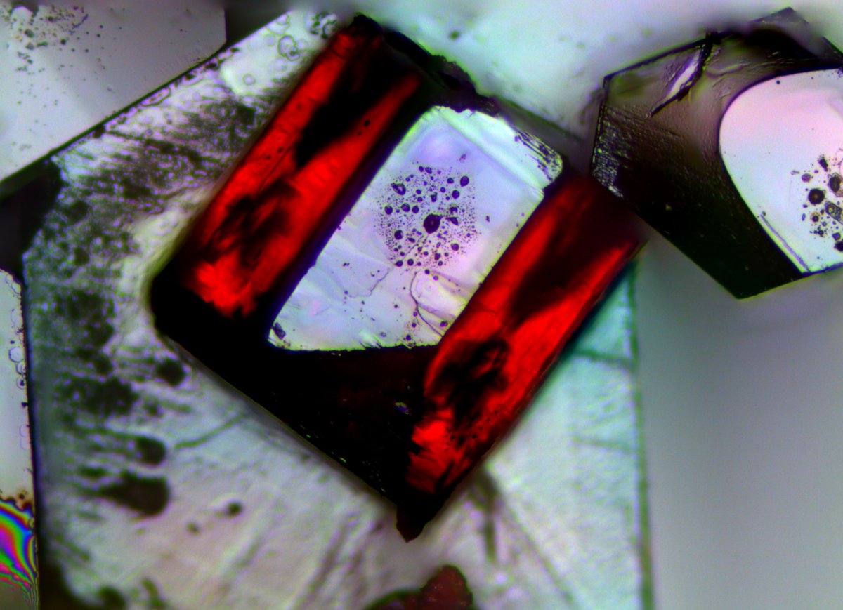 LotschGroup's tweet photo. Have a look at these beautiful crystals we made! Our new hybrid organic-inorganic compound forms crystals of almost half a millimeter in size 💎✨#labstories #chemtwitter #realtimechem https://t.co/gFy8E9PAhC