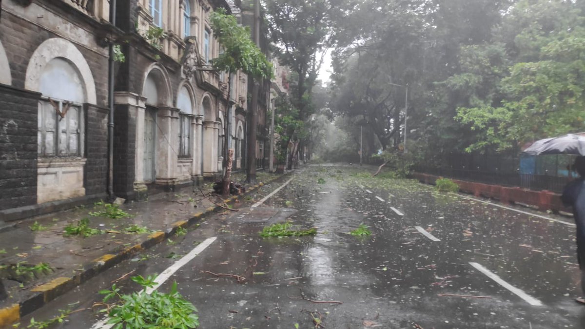In pics: While some lost branches, some trees fell outside Azad MaidanFollow LIVE updates on  #MumbaiRains on  http://bit.ly/33u5j32 