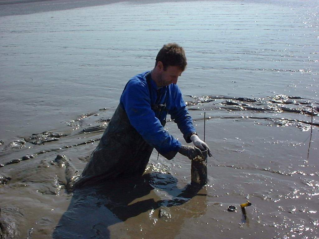 New MPB paper from @JaccoKromkamp @EdwardPMorris and I. We measured patterns in diatom biomass and photosynthesis every other low tide over a two-week period. Part of an excellent special issue edited by @VonaMeleder @SerodioJ @marbef22