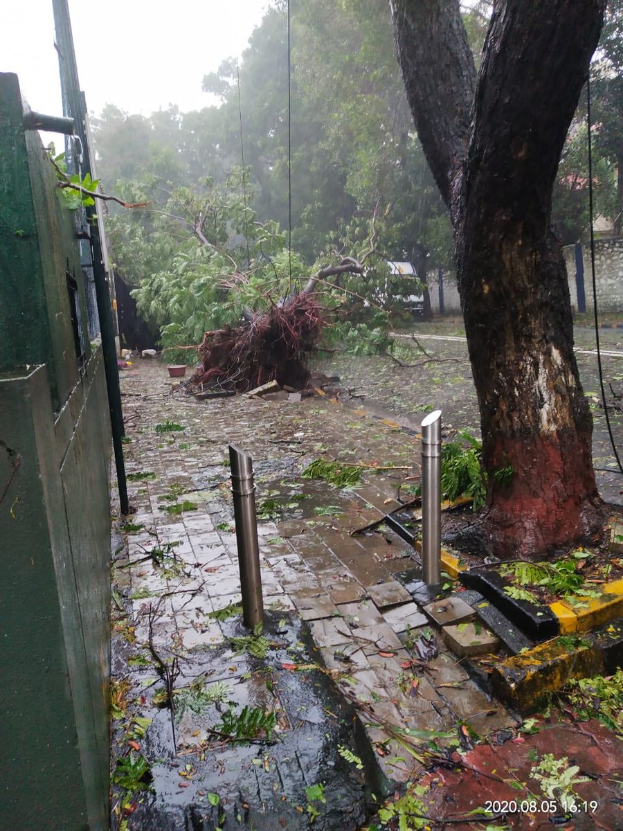 manojvaidya33's tweet photo. @mybmc @CMOMaharashtra @htTweets @MumbaiMirror @timesofindia @saamTVnews @ABPNews trees uprooted on cooperage road opp Maharashtra state lawn tennis association https://t.co/5ZTcu3MHkP