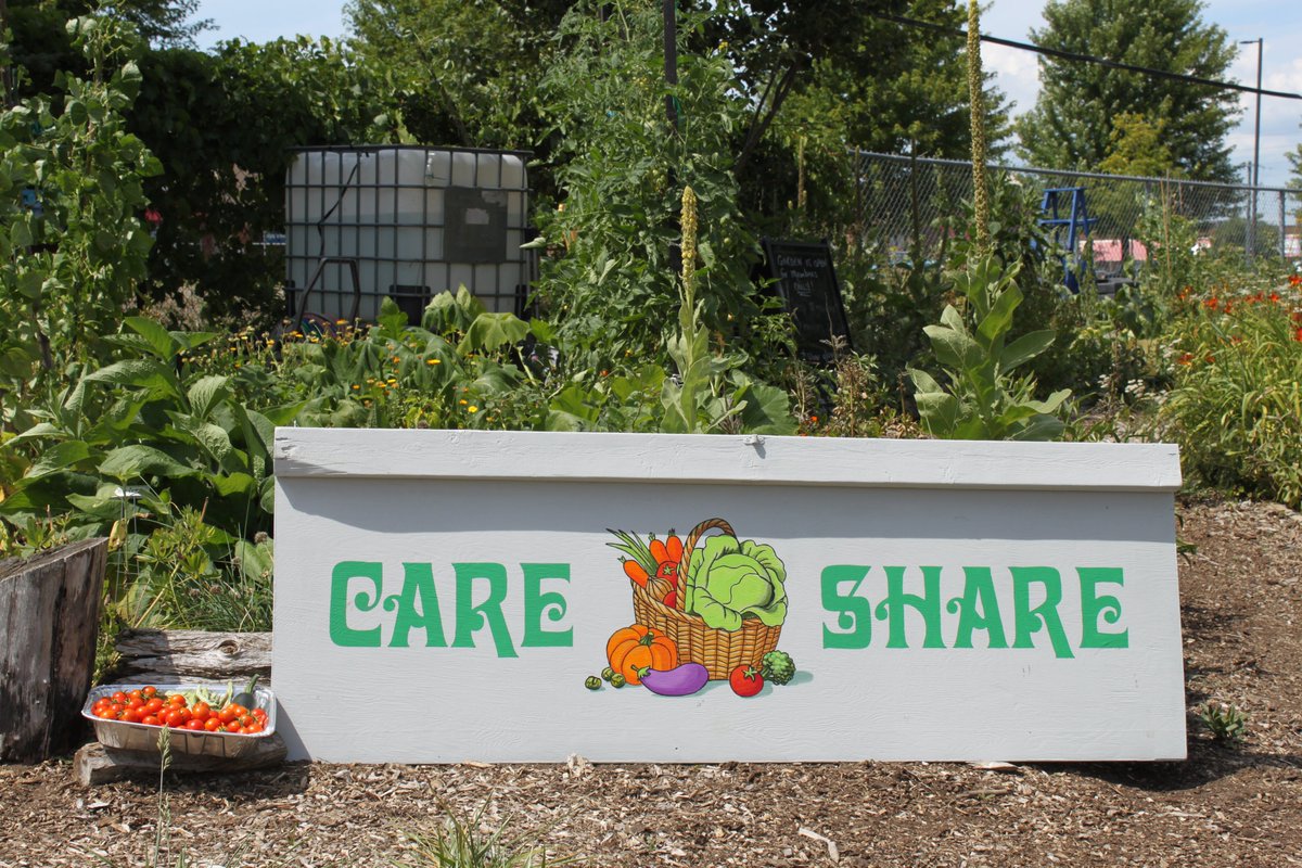 durhamdigs's tweet photo. It's like a paradise next to a desert at Care &amp; Share Community Garden in Port Perry, On. Native perennial gardens not only look amazing but attract beneficial insects, birds, lizards, (and people) to #communitygardens Keep up the amazing work Care &amp; Share!  
@ECAlertezON149 https://t.co/EinK7ebp4v