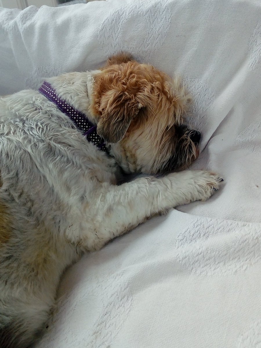 Flossy is enjoying her temporary accommodation 😁 She'll be back with her mum tomorrow, now that she's home from hospital 😊