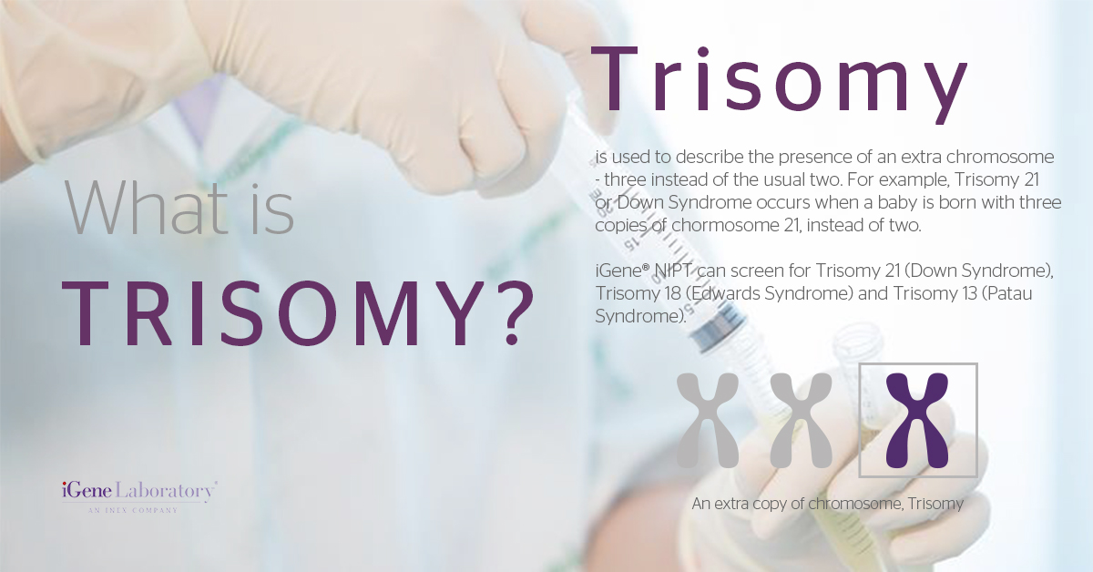 iGeneLaboratory's tweet image. What is Trisomy?

To find out further information on iGene Non-Invasive Prenatal Test (NIPT), visit igeneprenataltest.com

#noninvasiveprenataltest #nipt  #trisomy #pregnancytest #igene #igenelaboratory #medtech #singapore