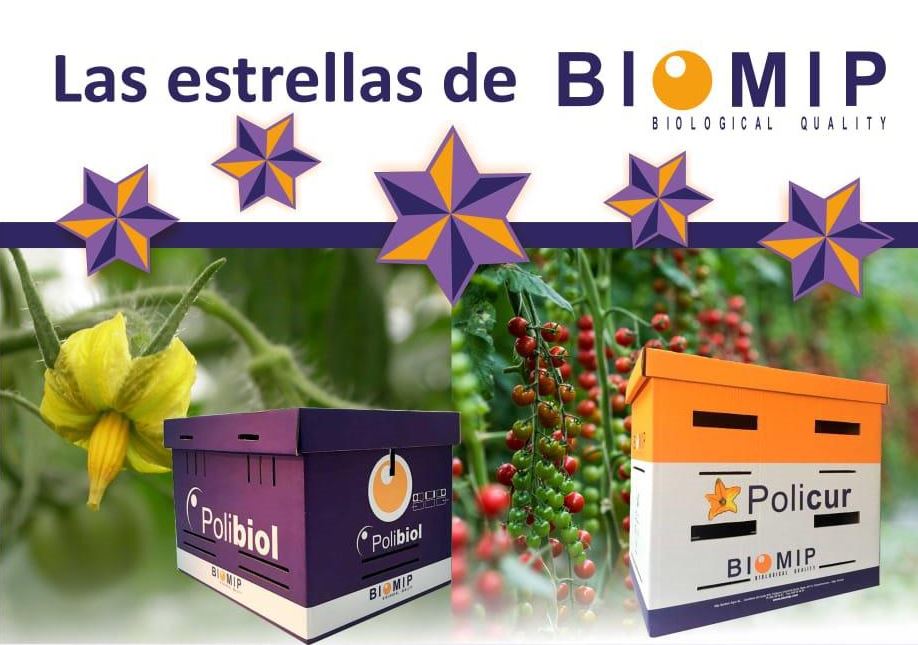 biomip_sl's tweet photo. Nuestras mejores soluciones para tu polinización. 

#policur #polibiol #biomip #biocontrol #tomate #polinizacion #agriculturasostenible https://t.co/tLQm7f2StX
