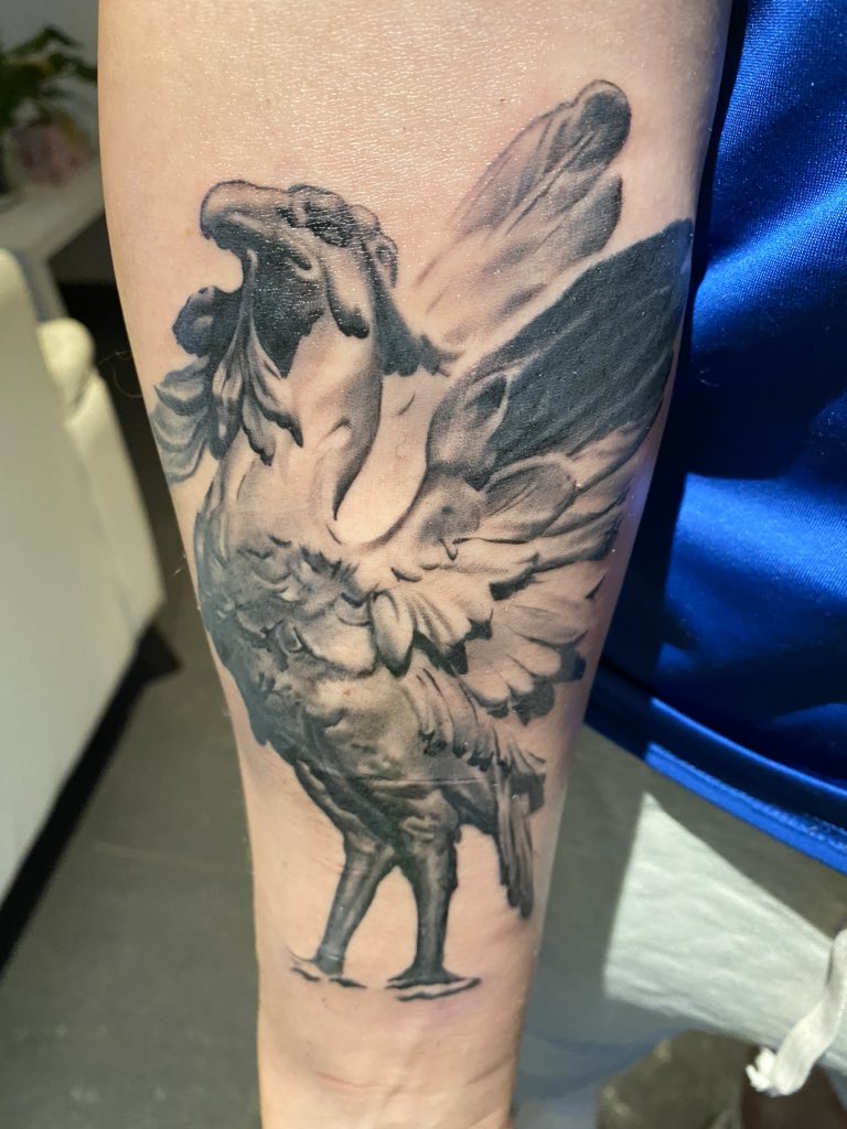 budharleydee's tweet photo. Sons 1st tattoo awesome start can’t wait to see it finished #tattoo #liverbird #LFC #LiverpoolFC https://t.co/zajgXkpQOz