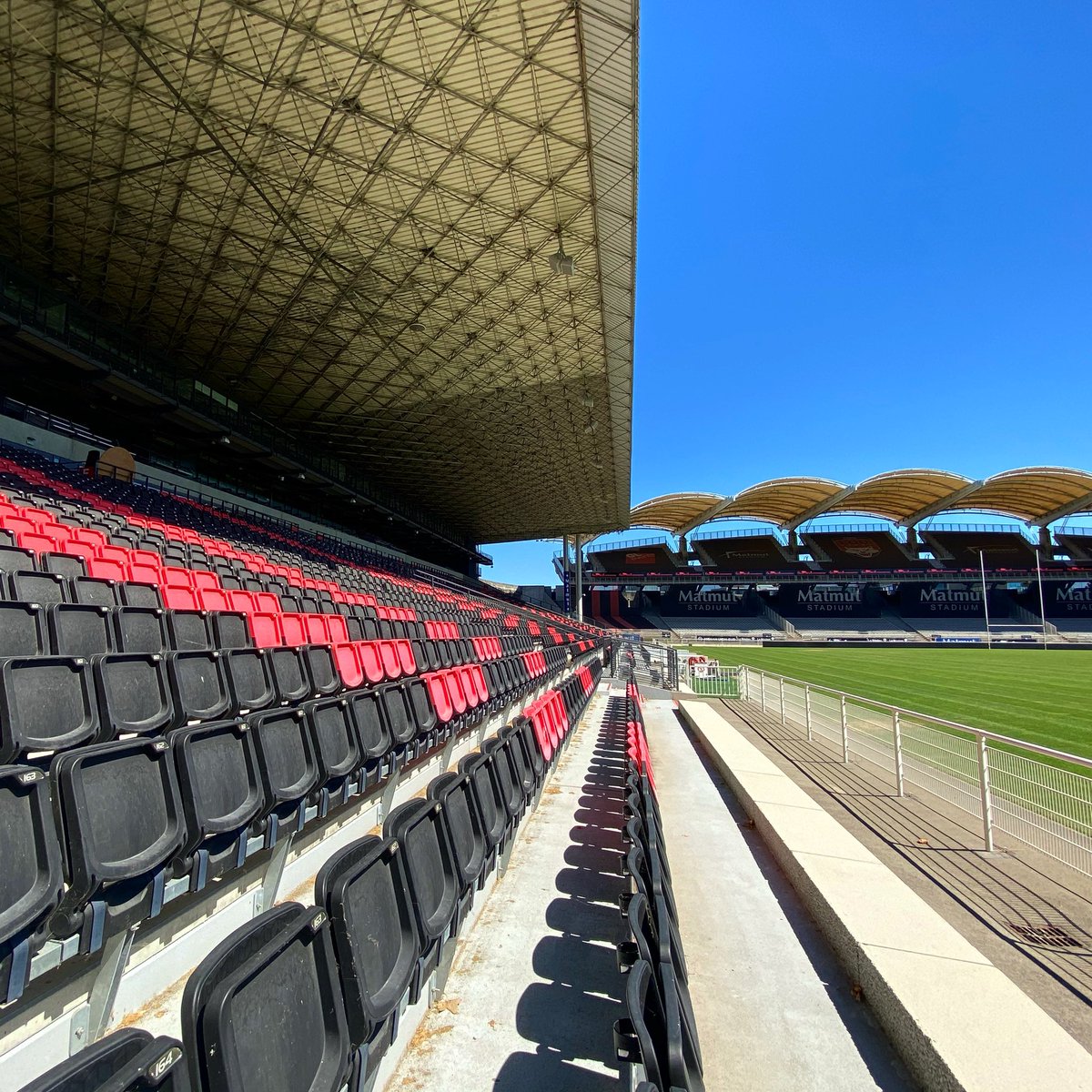 LOU Rugby tweet media
