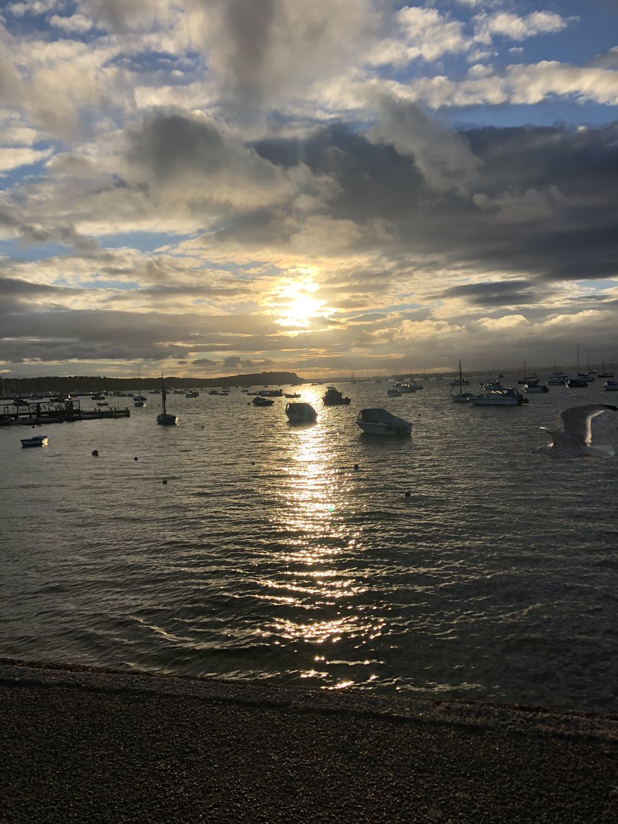 Nice spot to get out on the 🚴🏻‍♀️ after work #beautifuldorset