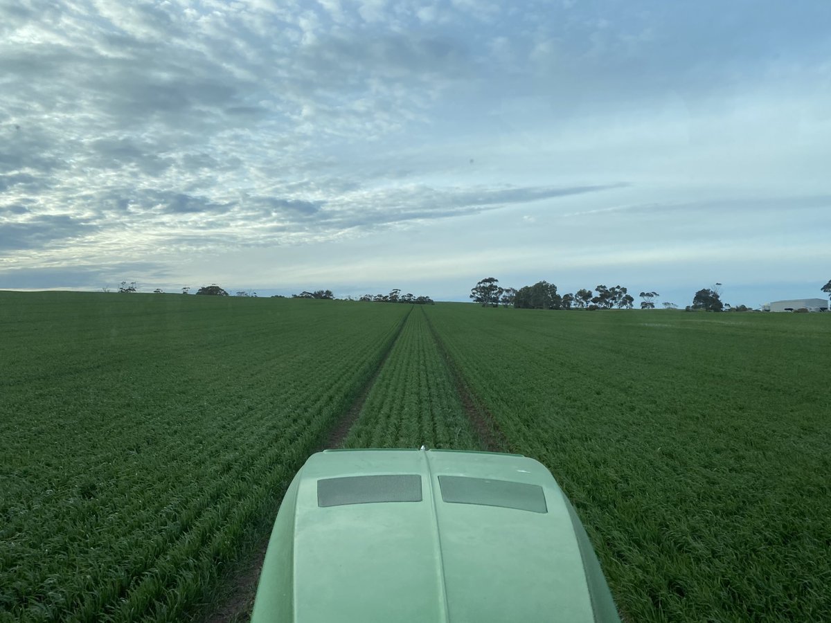 Last bit of N going out for 2020... Hopefully in for a wet spell now 🙏