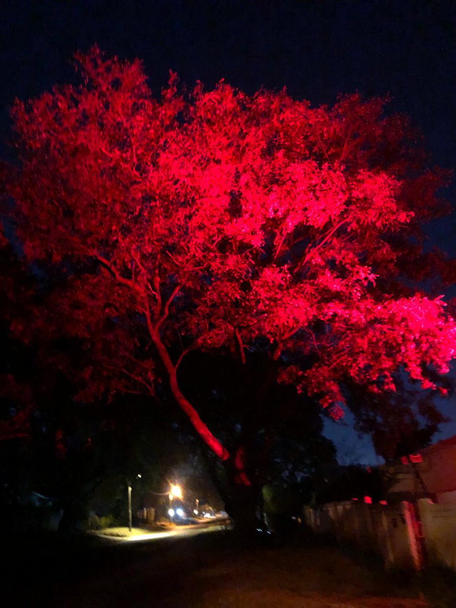 TEA12pm's tweet photo. Today we #LightSAred in support of our Events Industry partners and we look forward to a time when we are lighting up the country for live events again! 
We highlight the need for a good, transparent and positive working relationship with @SportArtsCultur and @Tourism_gov_za https://t.co/88wVhvO5hW