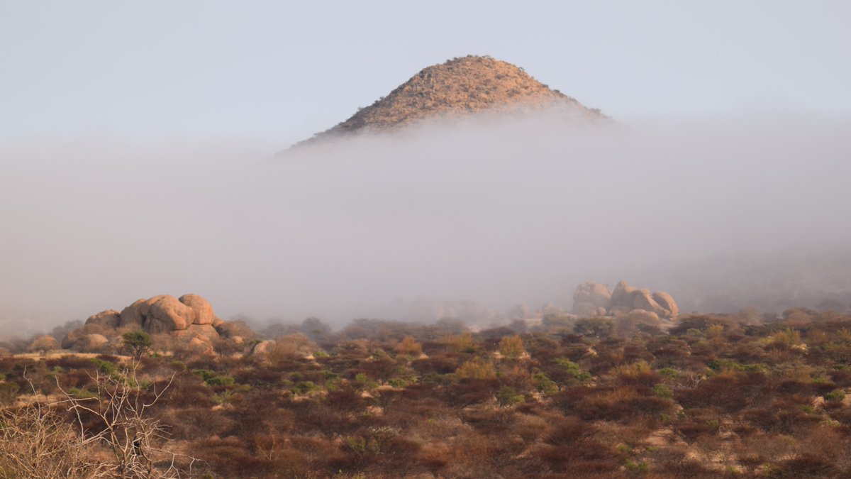 elenatravelnam's tweet photo. Ai-Aiba Lodge, Namibia
#Dronesberg #TravelNamibia #Africa #DroneNamibia #NamibwebCom #ExploringNamibiaTV #AiAibaLodge #YouTubeVideoNamibia #BlogNamibia #NamibiaPhoto #Erongo https://t.co/ZLcmQIEgEl