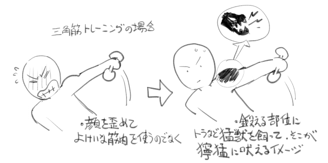 今日のトレーニング完了
肩の三角筋と僧帽筋と首を鍛えた。
特に三角筋は今までで一番効率よく効かせることができた。
初心者目線だけど効果的な種目ができた上で図のようにイメージしたら部位に集中しやすかった。 