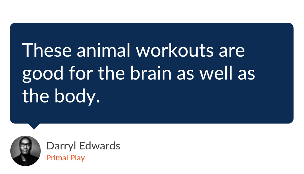 FitnessExplorer's tweet photo. Top 10 Benefits of Animal Moves Workouts https://t.co/3US3Lm94Wc #PrimalPlayMethod #Fitness #AnimalMoves https://t.co/b6hlHrad4u