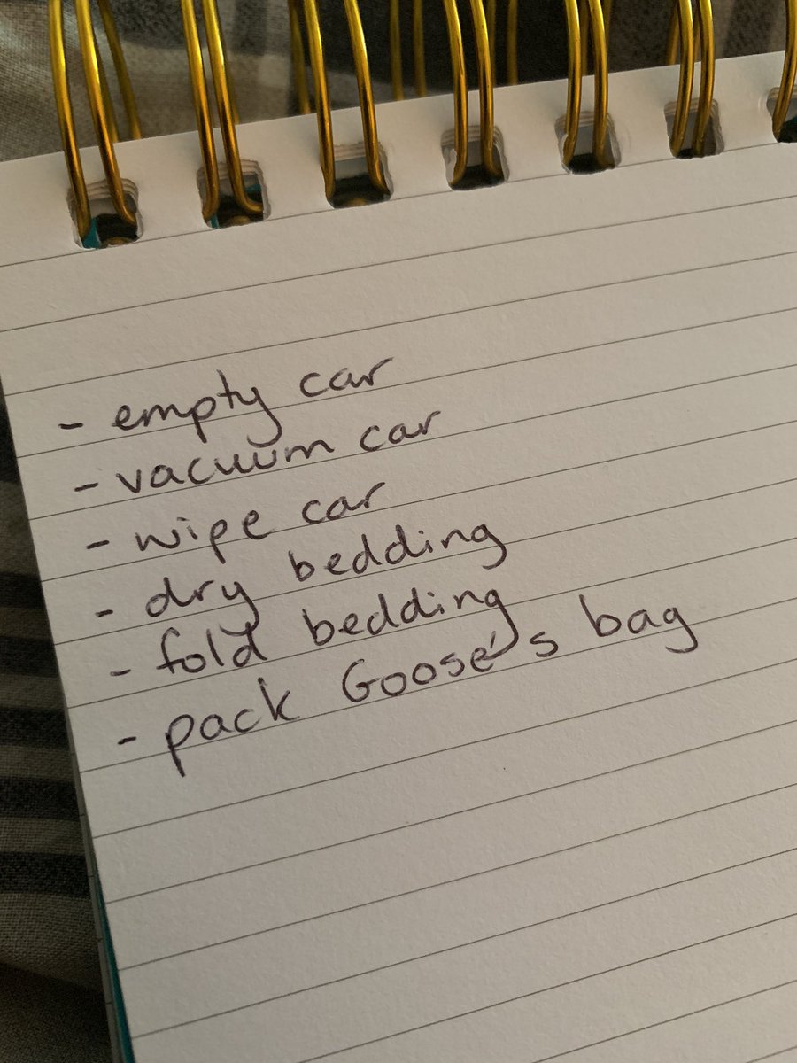 HannahNutting1's tweet photo. Anyone else divide jobs into smaller jobs so you have more to tick off your list?
Could quite easily have put โclean carโ but this makes it feel:
A) more manageable
and
B) like Iโve achieved more
Just me? ๐คท๐ปโโ๏ธ
#weirdthingsido #howdoiadult #listtime https://t.co/5hA3M8FtDK