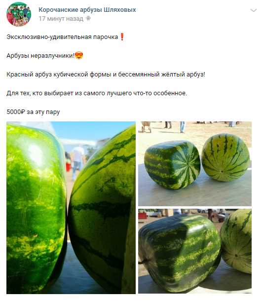 Bel_jour's tweet photo. Налетай, подешевело! 

Поддержка местного производителя опять же. https://t.co/HRijvAtAhK