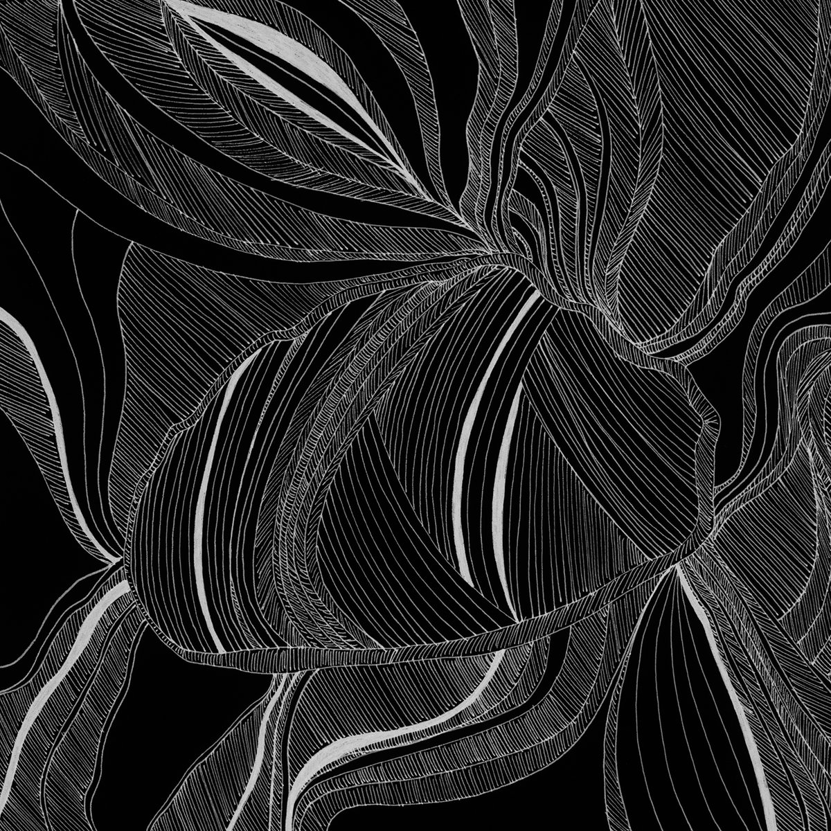 Bubblewrap Collective tweet media