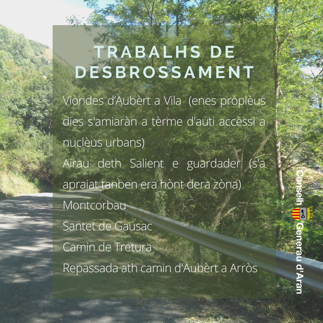 Conselh Generau d'Aran tweet media