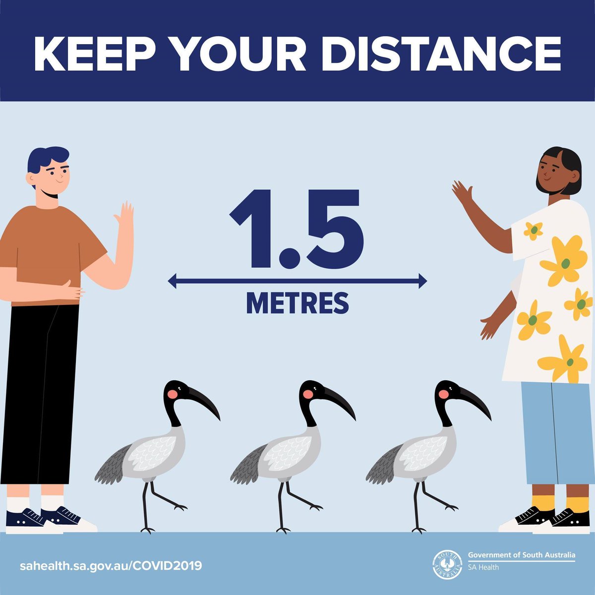SAHealth's tweet photo. Please keep at least 1.5 metres (approximately 3 x adult Australian white ibis) between yourself and other people wherever and whenever possible.#BinChickens #TipTurkeys #SandwichSnatchers #PicnicPirates #TrashVultures #RefuseRaptors https://t.co/MPC9GpT1qK
