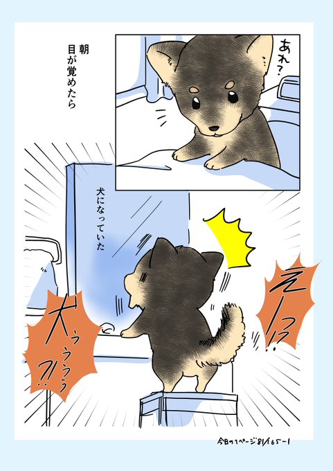#コルクラボマンガ専科
#今日の1ページ 81/165
  
目覚めたら犬になっていた人の話①
続きます。

#毎日読もう・あげよう1Pマンガ
#創作マンガ #マンガが読めるハッシュタグ 