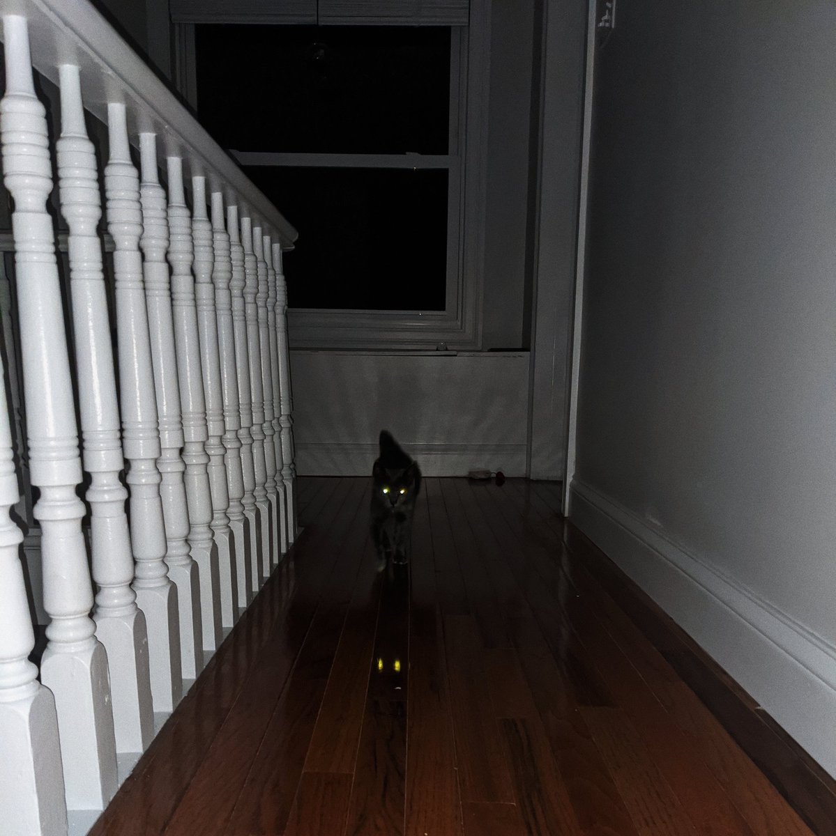 Fern tends to silently prowl around in the dark nearby on your way to bed. You have to be careful not to trip on her on the stairs or in the upstairs hall.