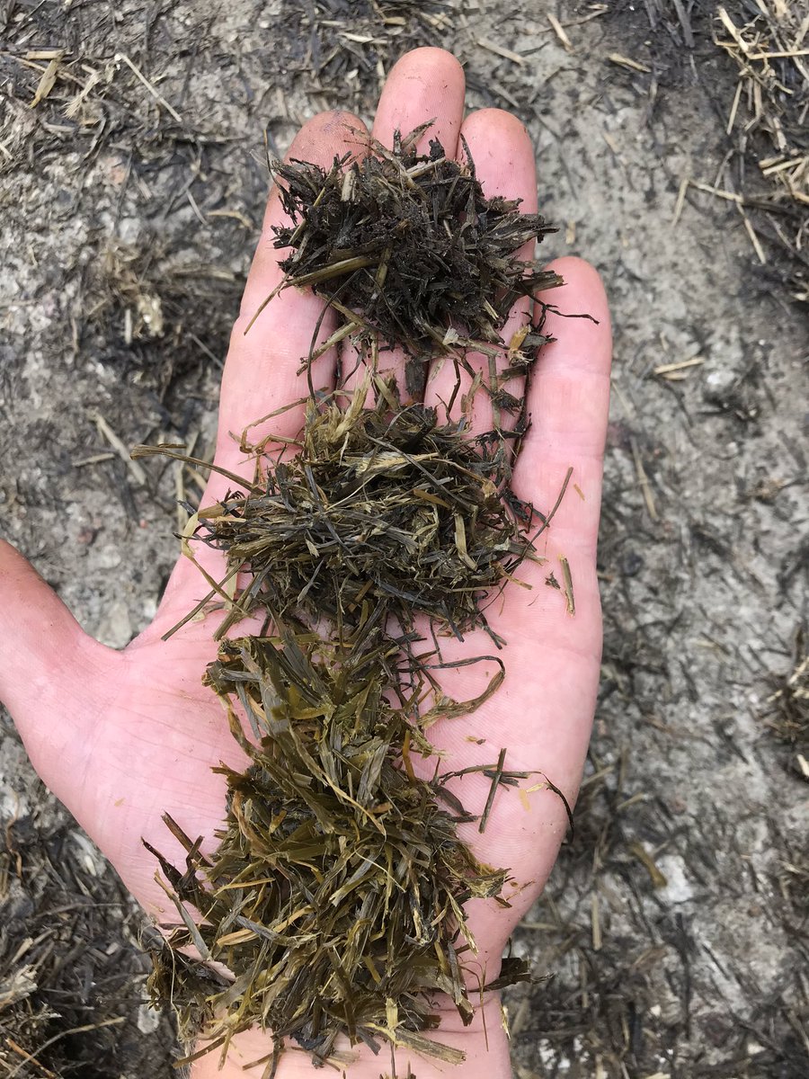 Barenbrug_HvdS's tweet photo. Kwaliteit is een keuze en is geen toeval of geluk. Goed grasland en #bonsilage als inkuilmiddel zorgt voor lage voerkosten! #gras #koeien #ruwvoer #inkuilen @BarenbrugNL https://t.co/3MpZvribbJ