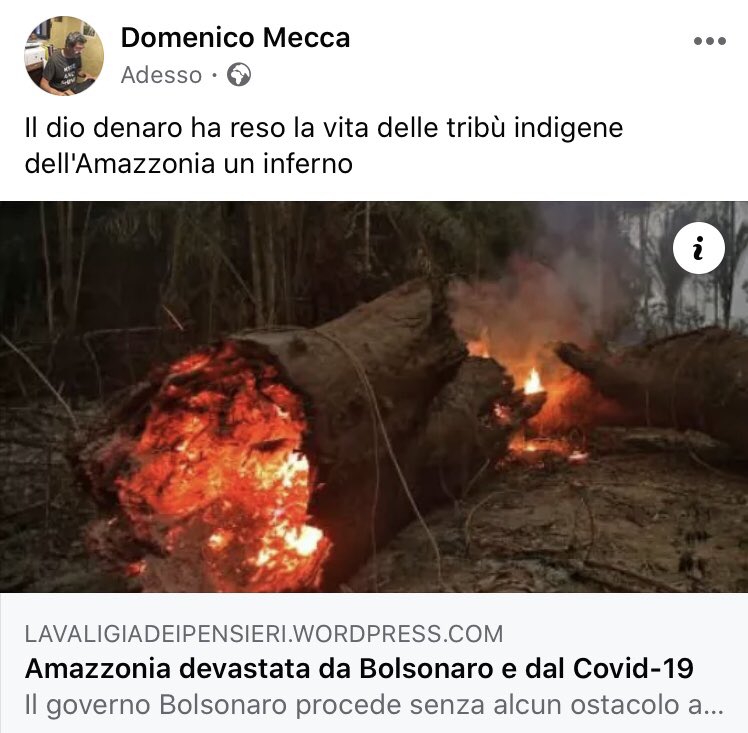 MeccaDmecca's tweet photo. #amazzonia #amazzoniabrucia #bolsonaro #Bolsonaro #COVID19 #coronavirus #coronavirusbrasile #brasile #brazil #Brazil #indigeni #Amazonas #wordpress #wordpresswebsite  https://t.co/koXWWW81yT https://t.co/Q2dOHKBSLU
