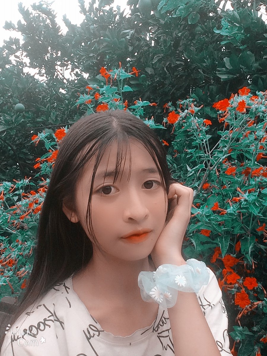 LuynNgu75801245's tweet photo. Tym ảnh cho mik 
Ib https://t.co/wjNlCGg3Yt