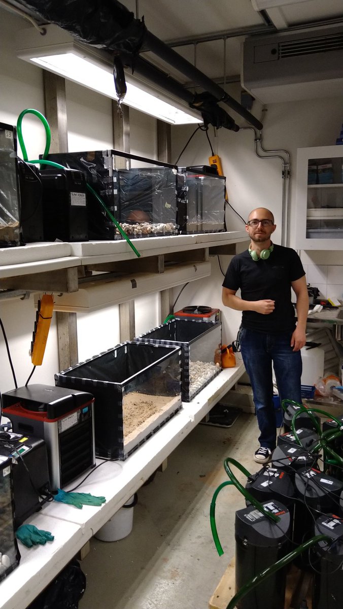 OlleCalles's tweet photo. Preparing for elver competition experiments, impressive work by PhD student Roman Motyka @KAU! #nrrv #rivem #conservation #eel https://t.co/X11qAJ5CUJ