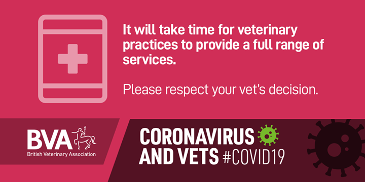 Not all vet practices are running a normal service. As lockdown eases it will take time for your veterinary practice to provide a full range of services, please #RespectYourVet and their decisions in providing care for your animals.