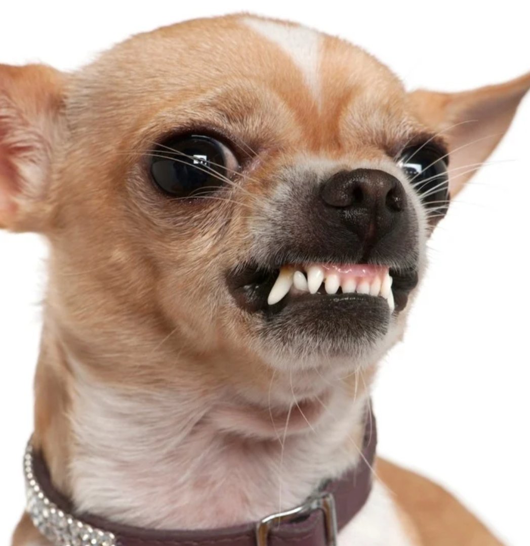 <a href="/makilanega/">Elena</a>