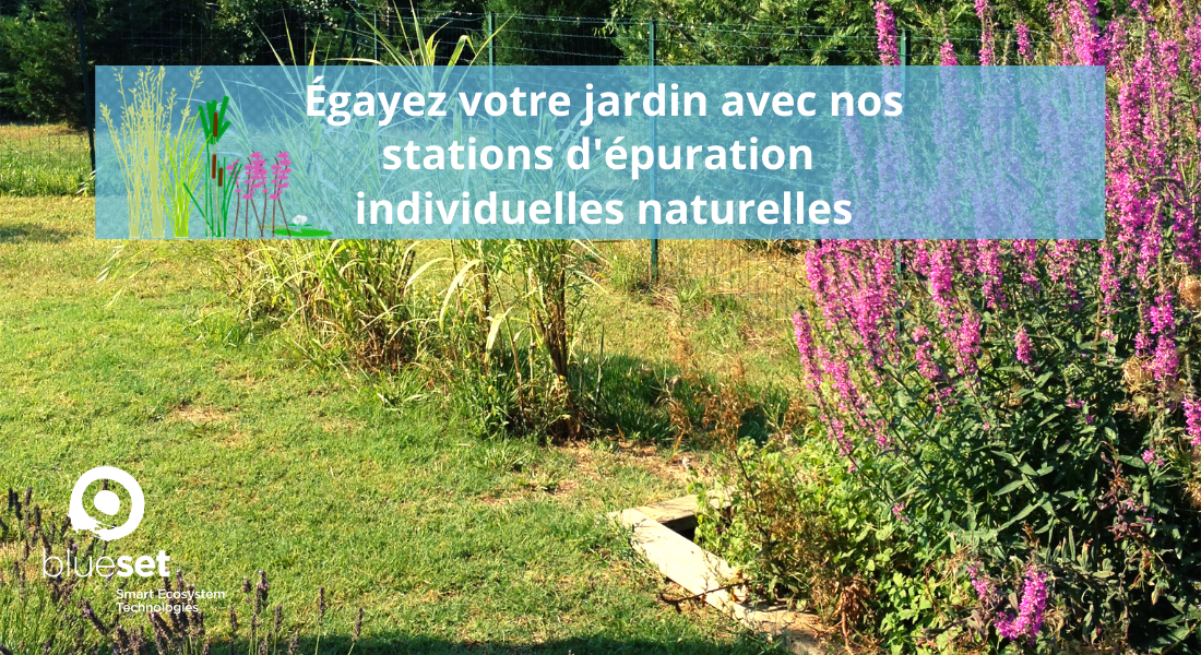BlueSETsolution's tweet photo. Adaptés à votre environnement, les végétaux que nous utilisons vous garantissent une performance optimale. Avec nos stations d'épuration durables et économiques dites adieu aux vidanges et aux mauvaises odeurs !
#assainissement #phytoepuration #BlueSETsolutions #maisonautonome https://t.co/k9b15WC6Cf