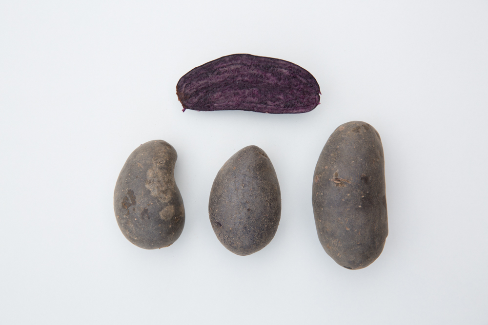 We are loving all these amazing reviews - "In particular, we love the Pink Fir Apple potatoes, sliced into 1" slices, boiled briefly then fried. Shetland Black are excellent 'bakers' as are Violetta".  - Elizabeth

#heritagepotatoes #yummy