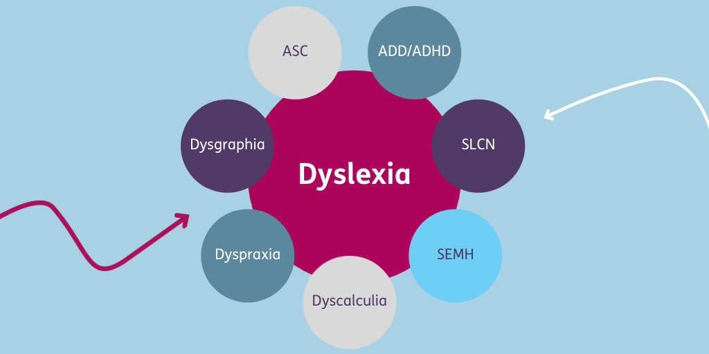 Dyslexia is often diagnosed in conjunction with other learning difficulties and barriers, such as ADD/ADHD and speech, language and communication needs. Our #ProfessionalDevelopment workshops show teachers how to motivate and engage learners with complex barriers to literacy.
