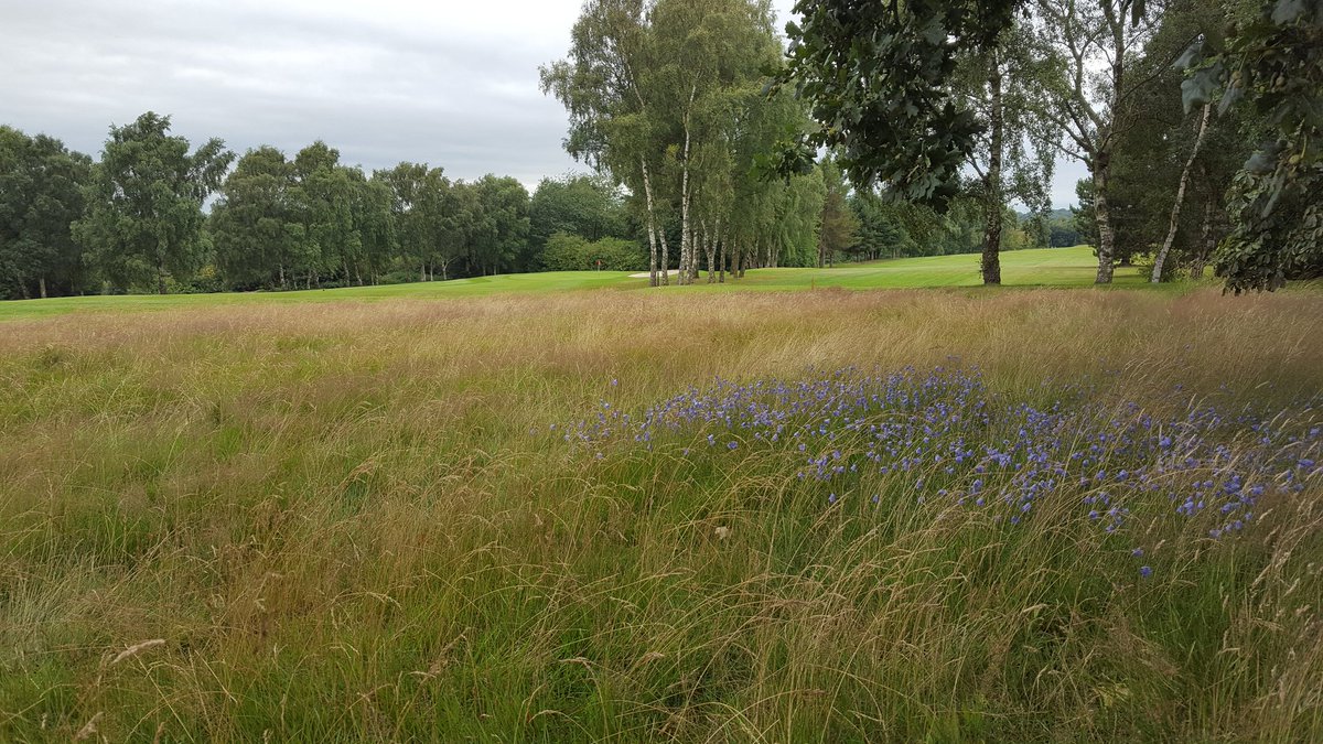 Good luck to all competitors in the <a href="/PGANorth/">PGANorth</a> Leeds Cup today/tomorrow <a href="/cobblehallgc/">Leeds Golf Club Ltd</a>