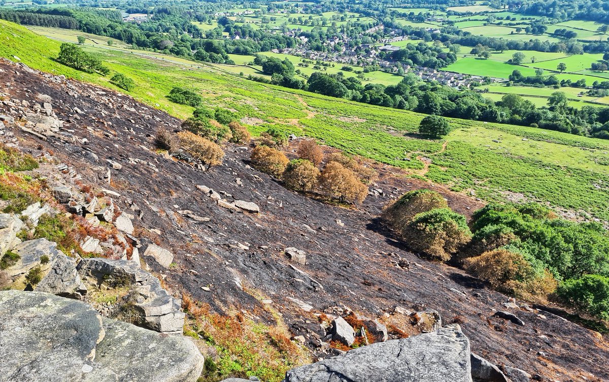 No Moor BBQs: Help us extinguish disposable BBQs that are often the cause of wildfires. We’re calling on government to make the use of bbqs in public spaces, including open moorland, heathland, grassland &amp; beaches a criminal offence. More info here: ow.ly/DSEd50ARadO